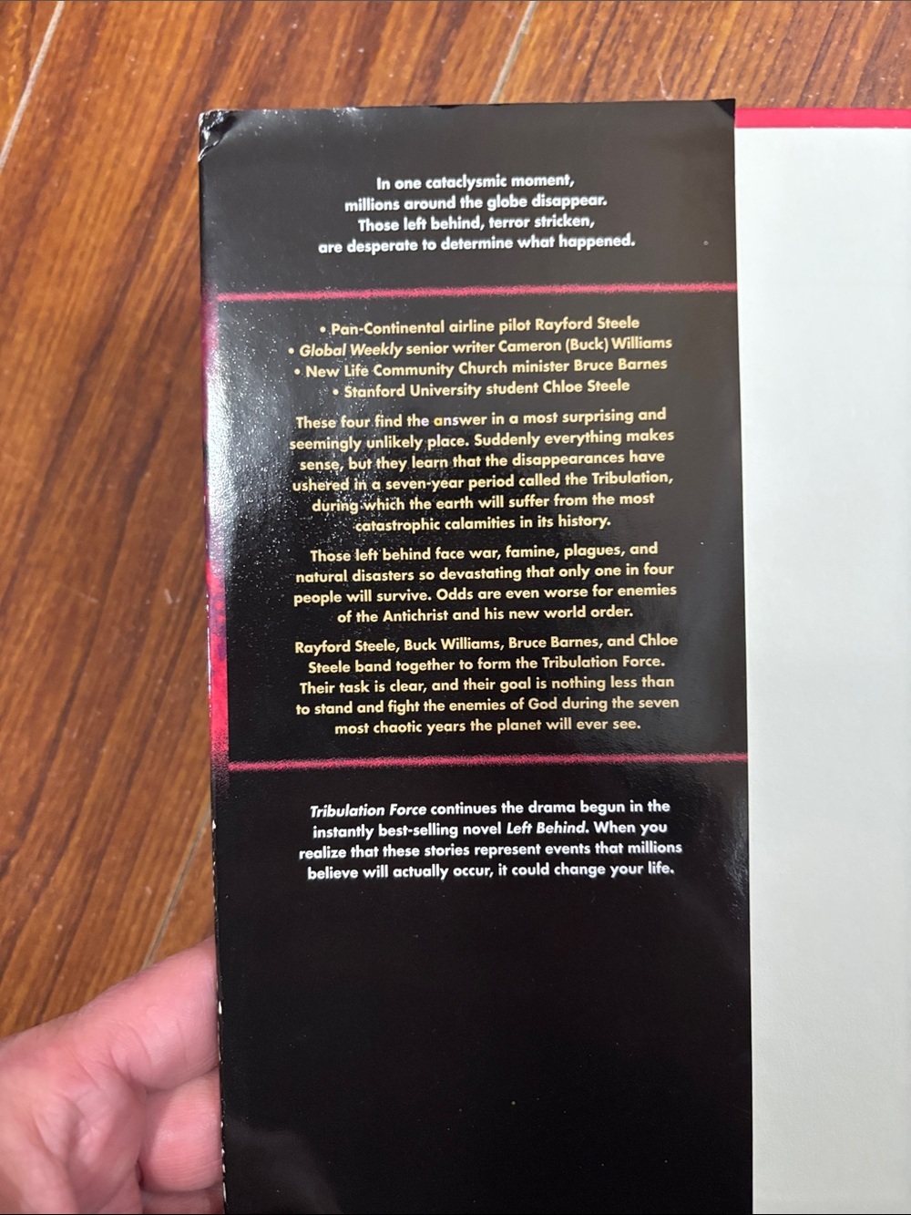 2Book Bundle by Tim LaHaye & Jerry B. Jenkins - Picture 3 of 10